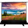 Экран CACTUS FLOOREXPERT , 53", 16:9, напольный, 120x68 см. CS-PSFLE-120X68