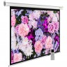 Экран CACTUS MOTOEXPERT , 209", 4:3, настенно-потолочный, моторизованный привод, 420x315 см. CS-PSME-420X315-WT