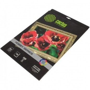 Холст CACTUS CS-СA326010 A3, 300г/м2, 10л, белый для струйной печати